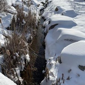 Meet your Posher, Cherie's Closet